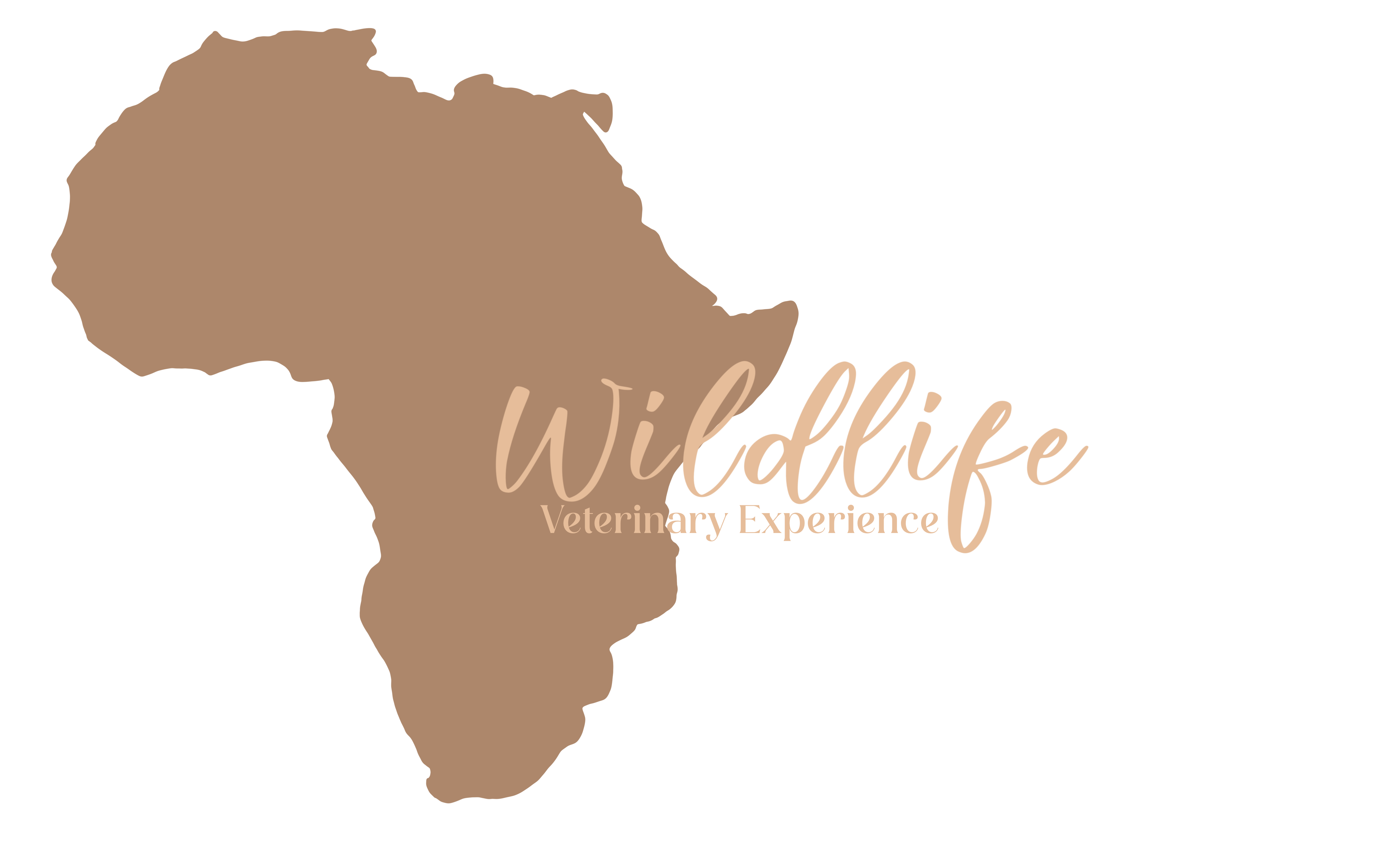Wildlife Veterinary Experience
